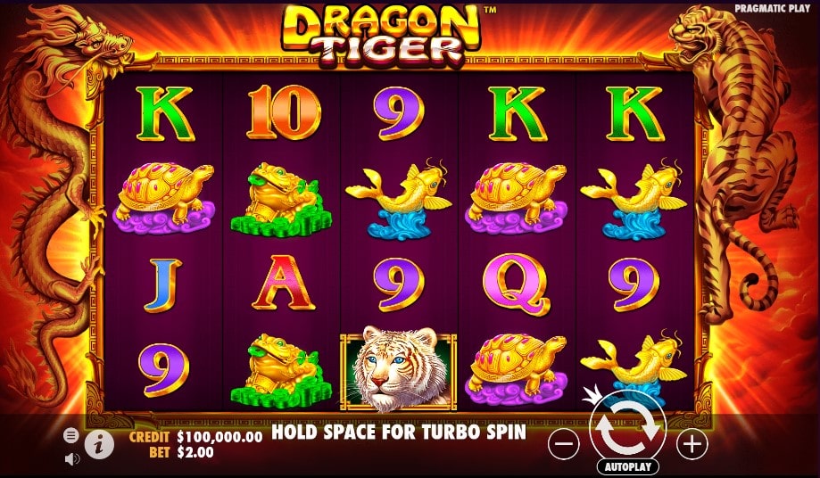 Dragon Tiger Slot 